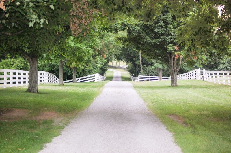 Local Driveway Sawing in Buffalo Grove, IL